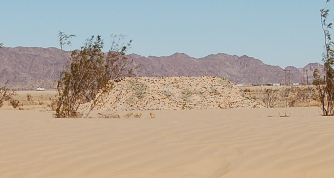Multi-Spectral Camouflage